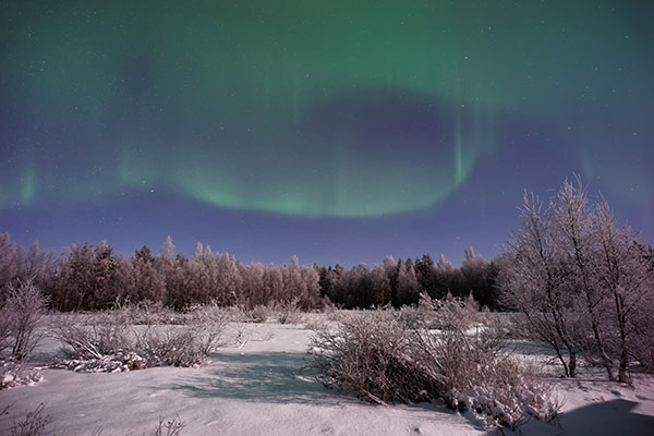 Travel Pick: Fairbanks, Alaska Travel Pick: Fairbanks, Alaska
