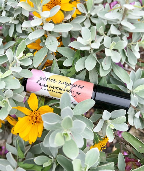 Tribeza Talk: Wildflower Remedies Tribeza Talk: Wildflower Remedies