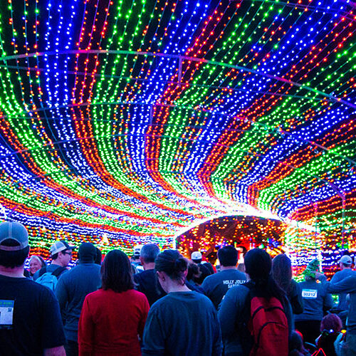 Austin Trail of Lights Fun Run