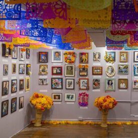 Austin City Guides: Best Museums