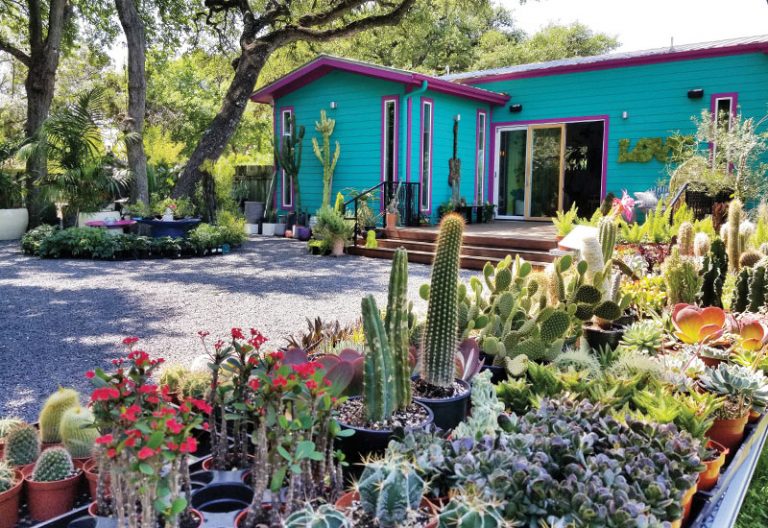 Austin Plant Shops for New and Experienced Green Thumbs Tribeza