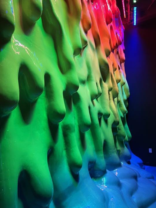 Macrodose – Meow Wolf Grapevine