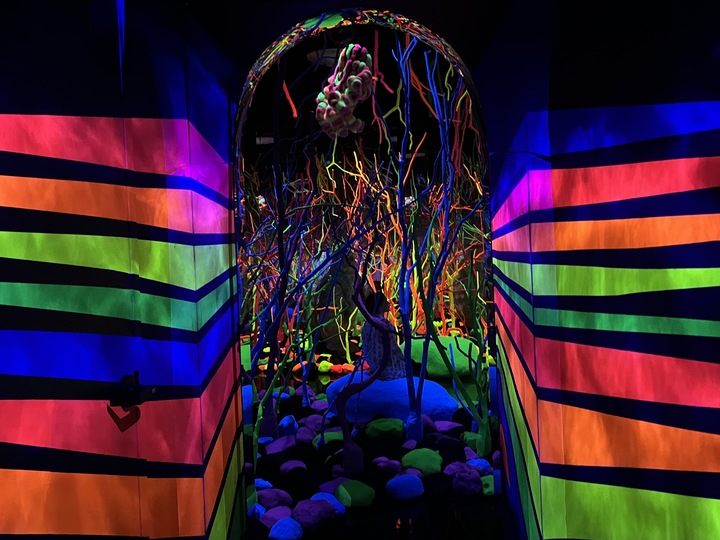 colorful rainbow – Meow Wolf Grapevine