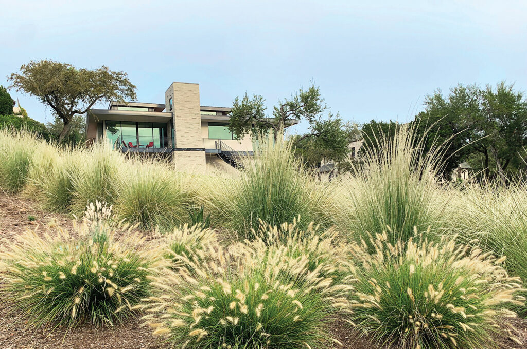 Tribeza Home Design Guide 2023 – ADLA Studio