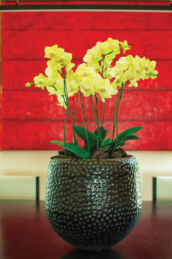 Tribeza Home Design Guide 2023