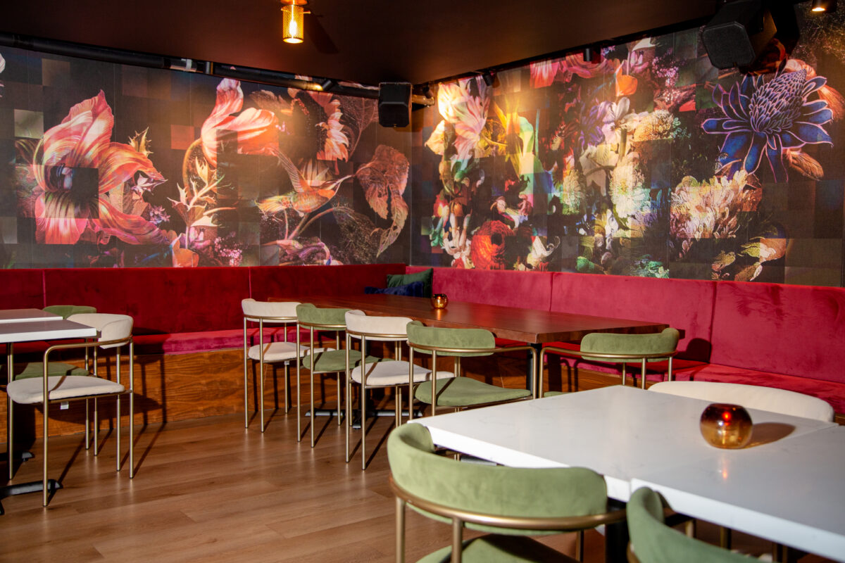Ember Kitchen Creates Bold Latin Flavors - Tribeza