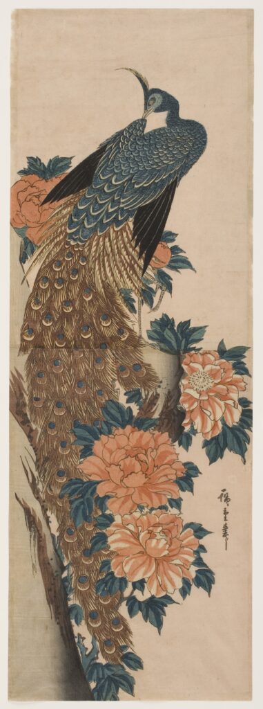 Hiroshige-Peacock-and-Peonies
