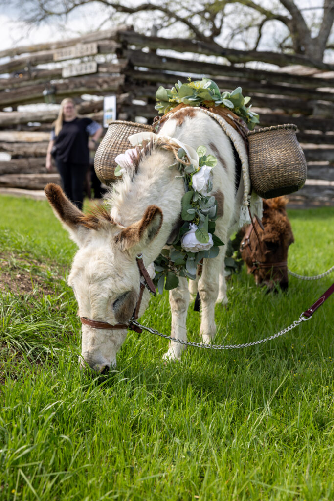 _69A0317-Enhanced-NR (1)