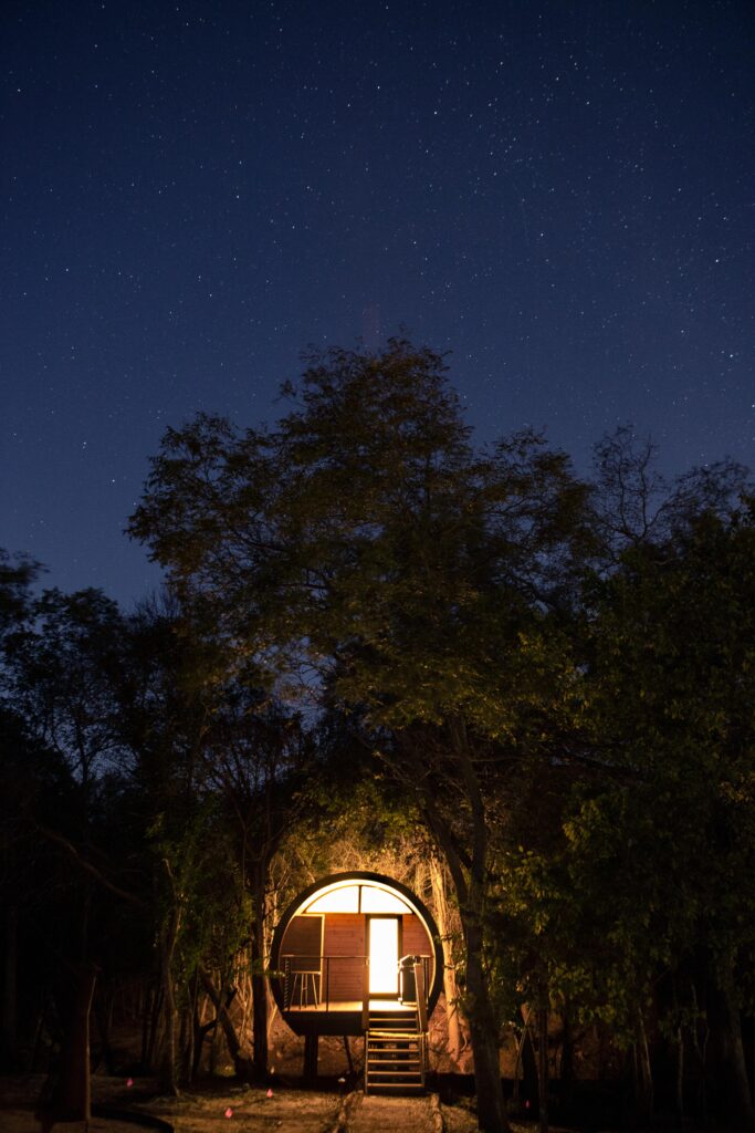 Spyglass, Onera Fredericksburg (photo by Graham Butler)