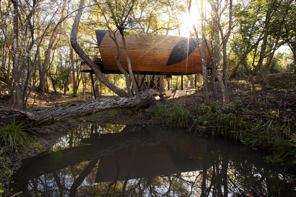 Cocoon, Onera Fredericksburg (photo by Graham Butler)
