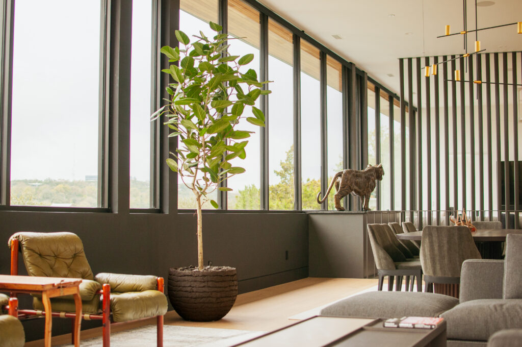 New Native Gardens Landscaping and planting in Austin, Texas