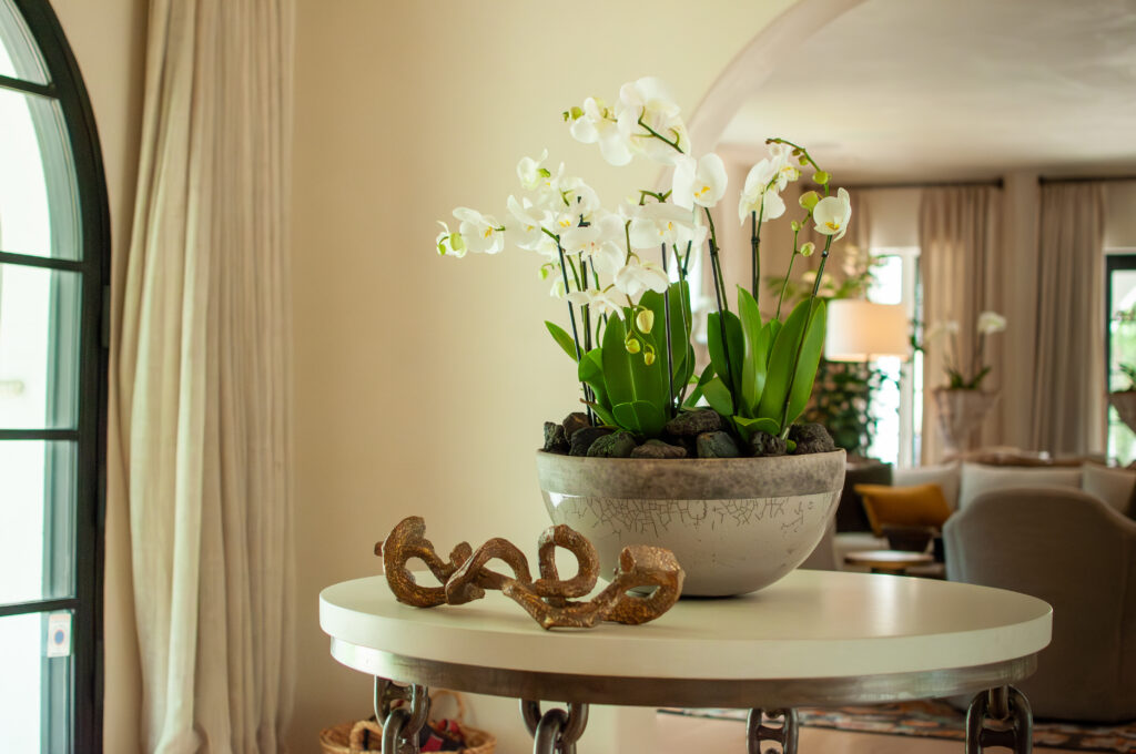 New Native Gardens Landscaping and planting in Austin, Texas