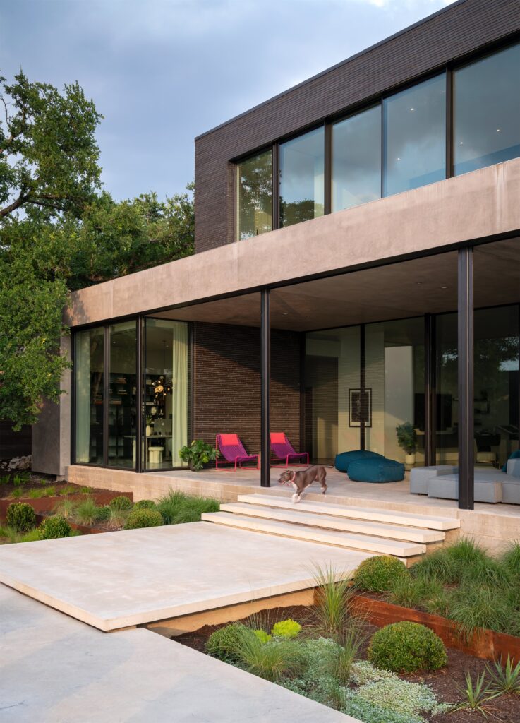 Back Exterior with Dog in Austin, Texas