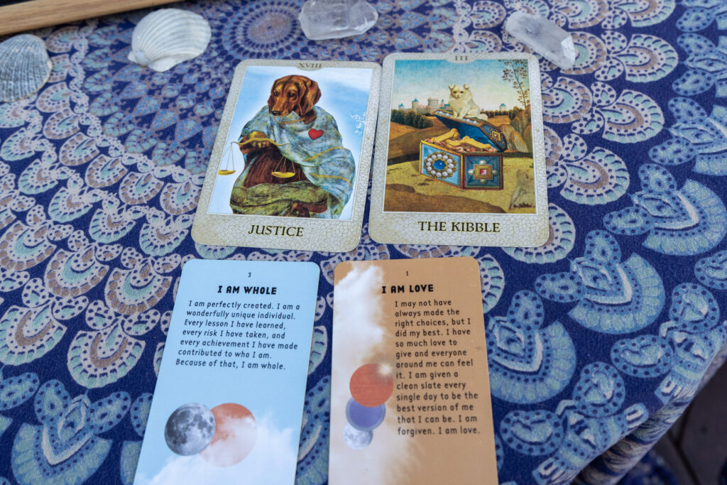 Tarot cards displayed during a dog reading session.
