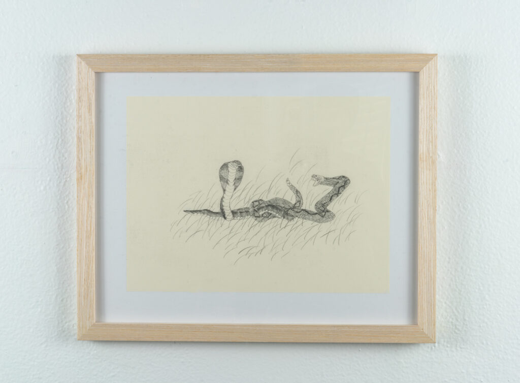 Ben Siekierski's "Knotted" illustration, on display at McLennon Pen Co. Gallery. (Photo by Zenko Photography)