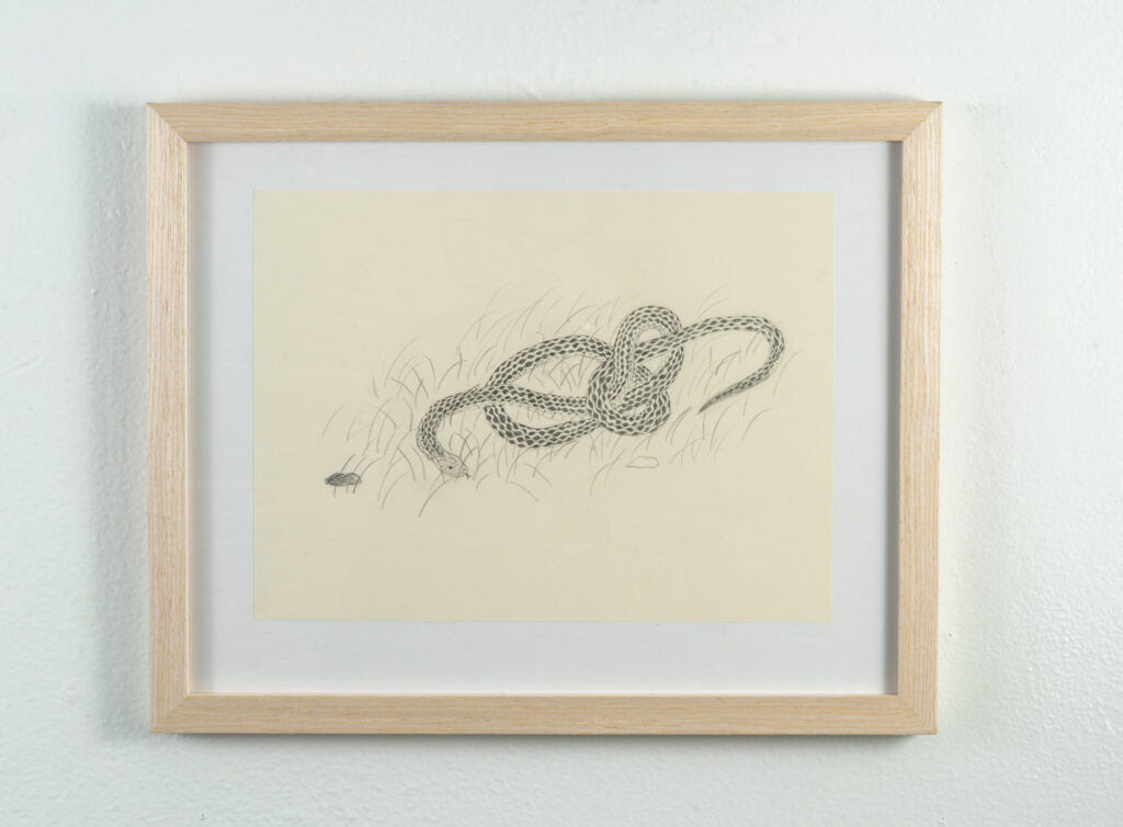 Ben Siekierski's "Twisted" illustration, on display at McLennon Pen Co. Gallery. (Photo by Zenko Photography)