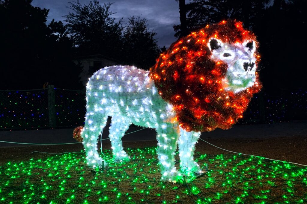 San Antonio Zoo Lights.