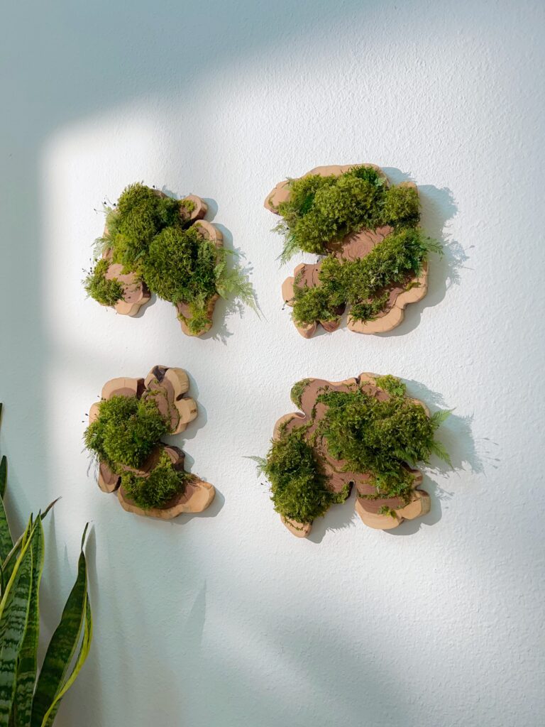 A custom moss art installation by Lilac Frost of The Mossery. (Photo courtesy of The Mossery)