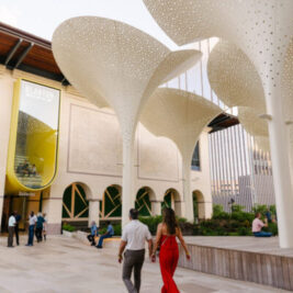 Visitors on the Blanton’s grounds