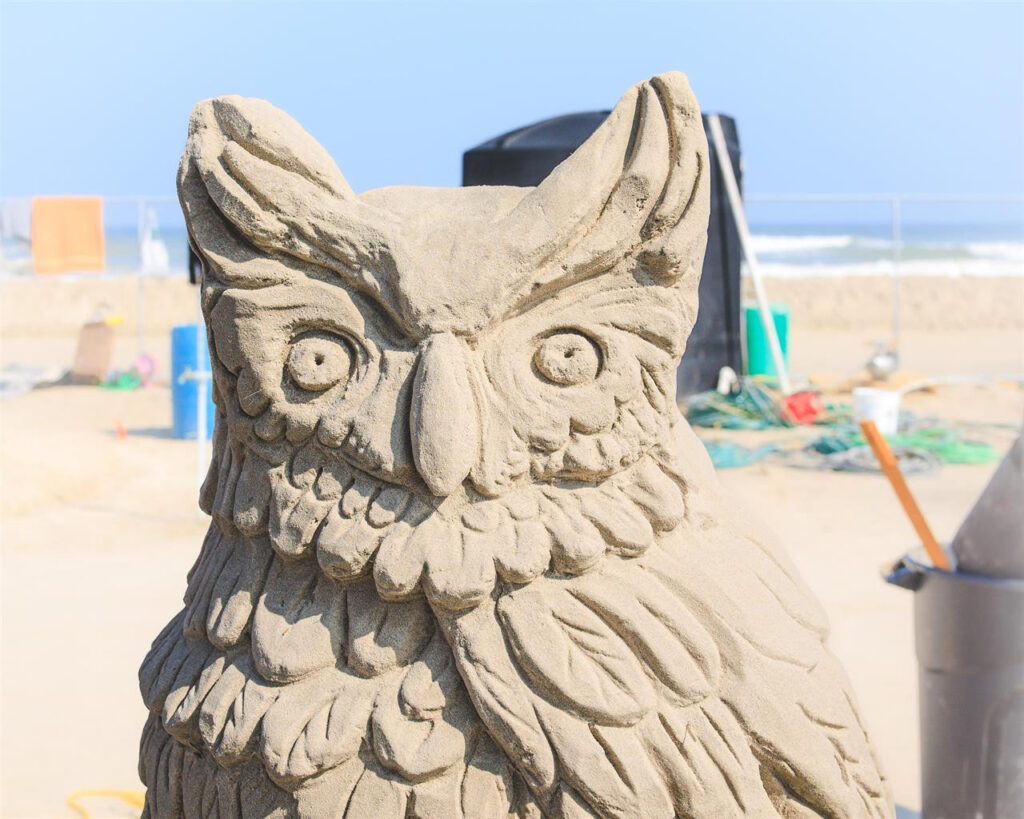 owl sculpture at Texas Sand Fest
