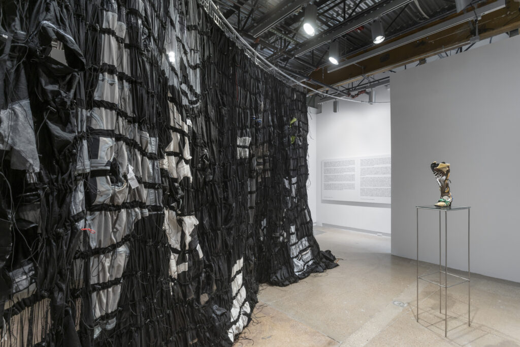 Tenant of Culture, Dry Fit