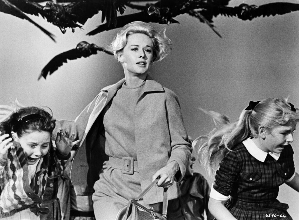 Alfred Hitchcock's film "The Birds." (Movie still courtesy of The Paramount Theatre)