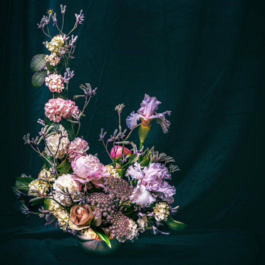 471478469_18476862166005586_6167662404131528898_n