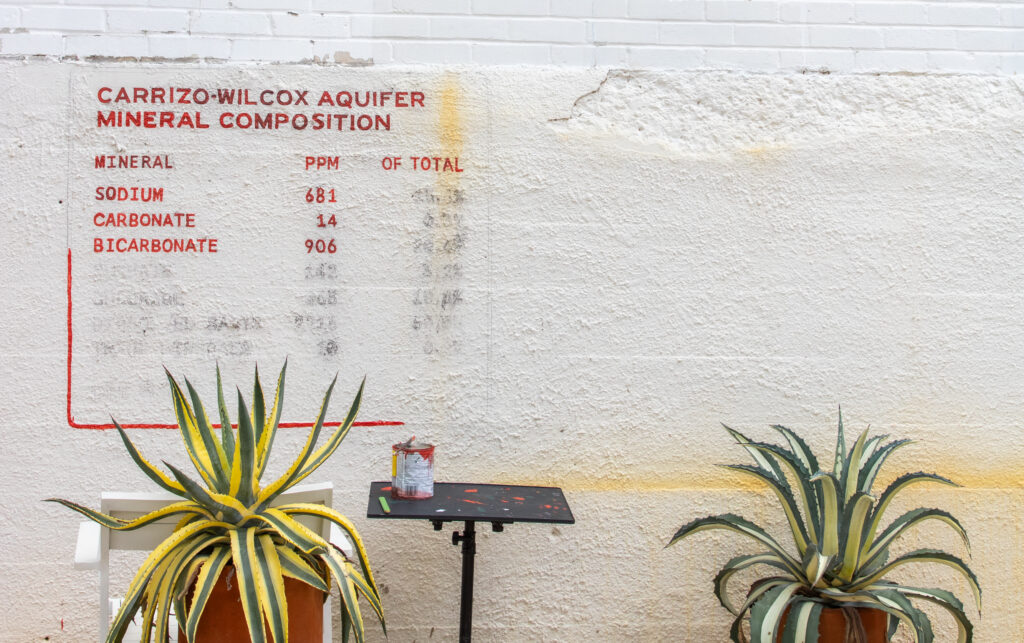 Mineral composition of the waters at Ottine Mineral Springs.