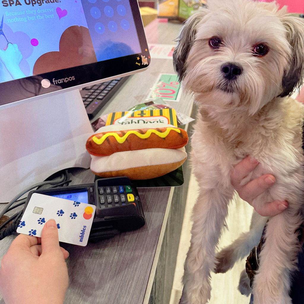 Nibbles, all-in-one pet rewards credit card with built-in pet insurance