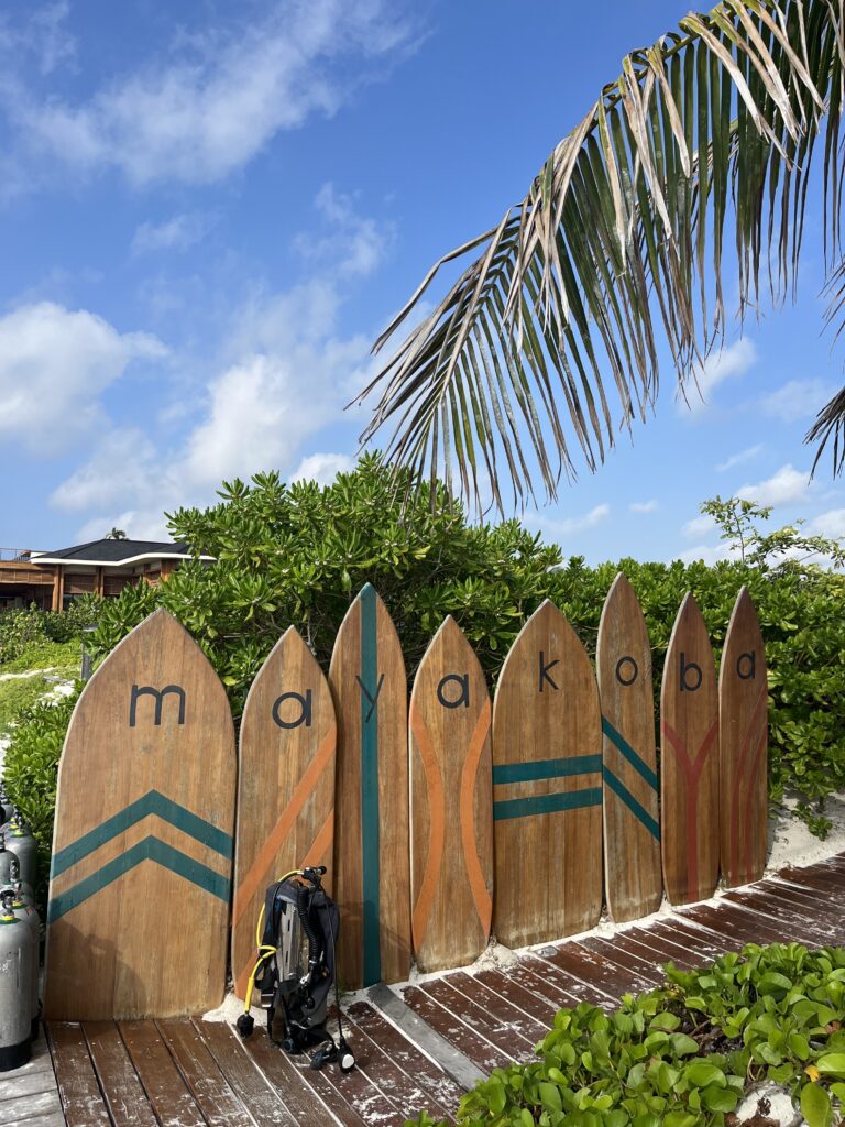 Mayakoba offers many wonderful activities.