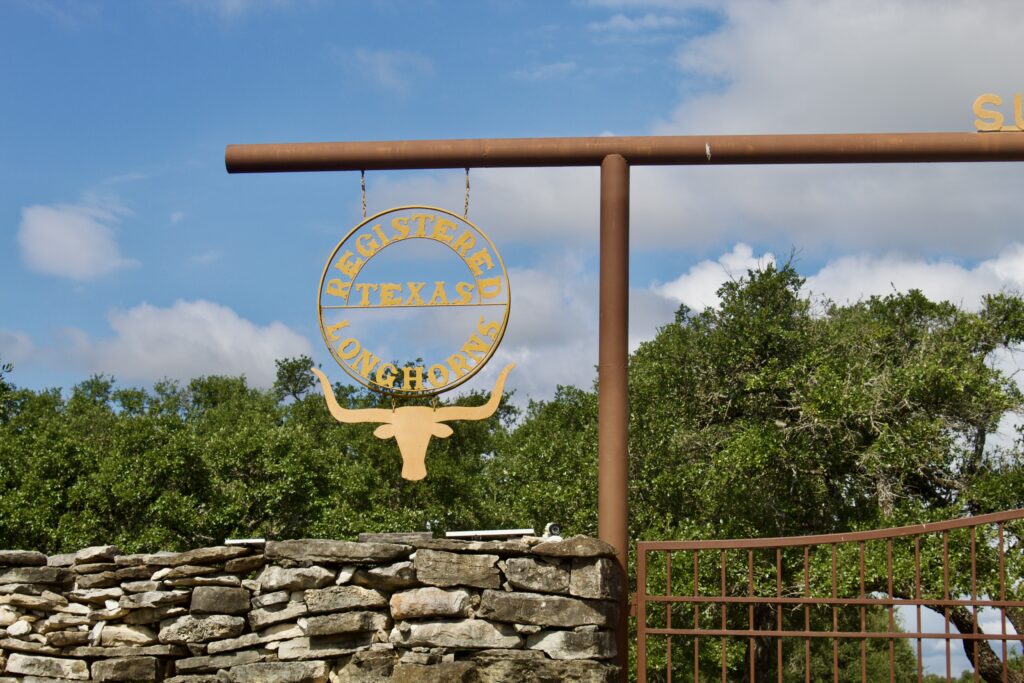 The ranch north of Austin owned by John and Betty Baker, who have raised every University of Texas longhorn mascot since Bevo XIII