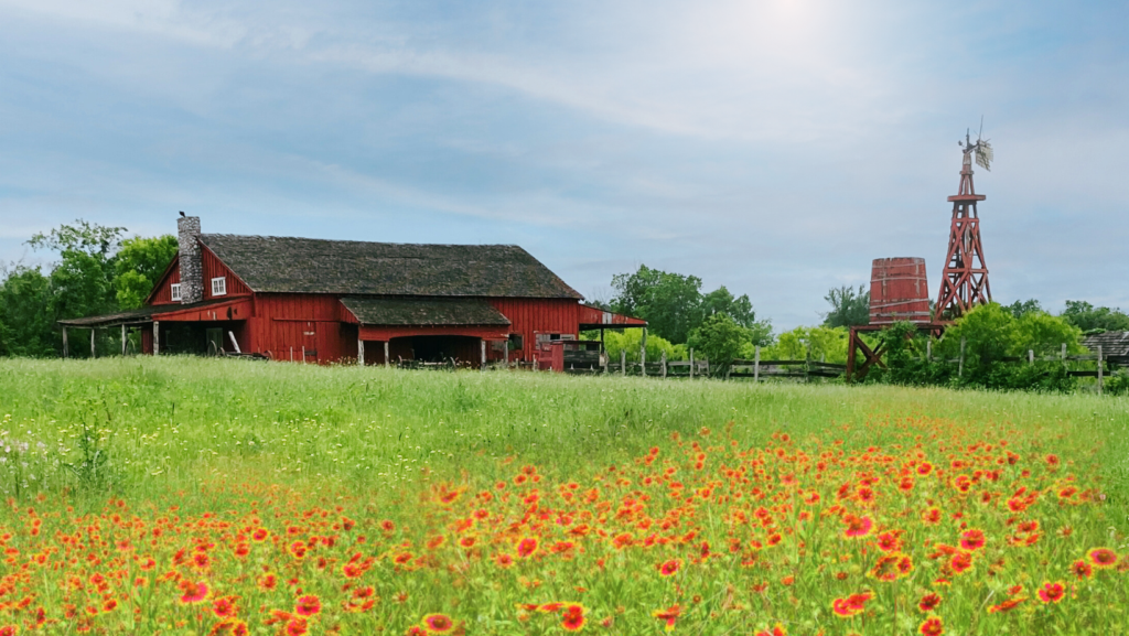 Historic red barn at Pioneer Farms museum in Austin, Texas.
