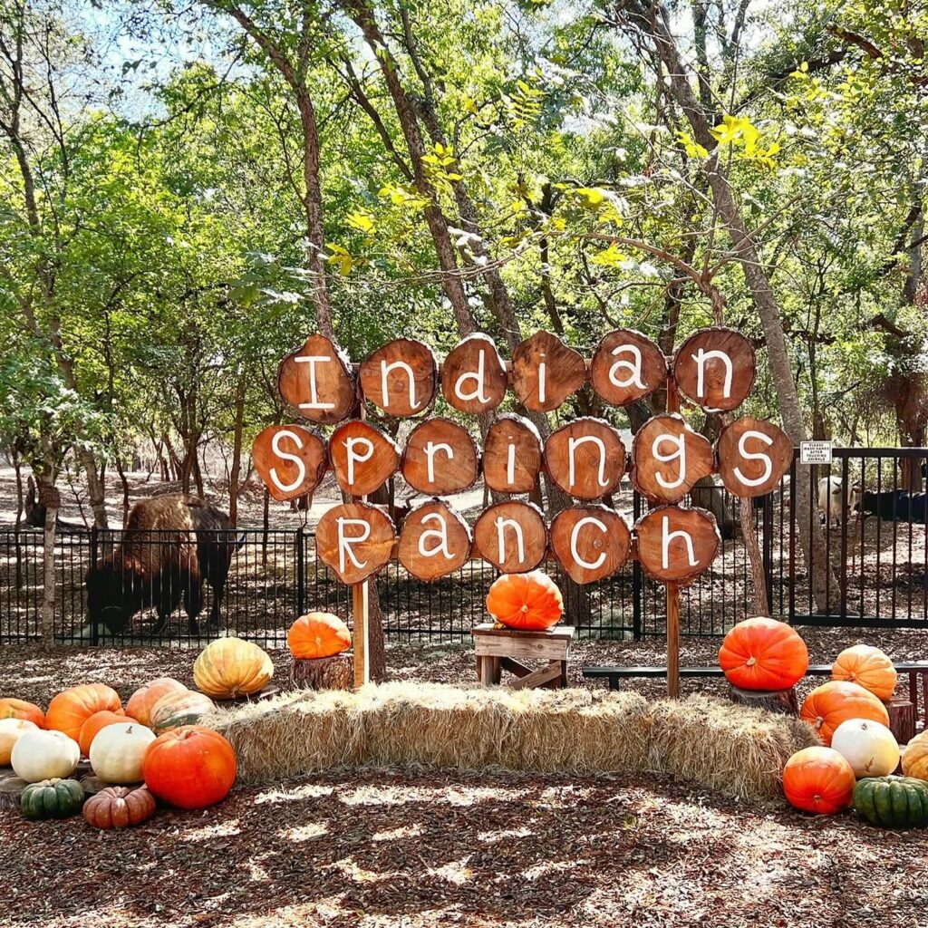 (photo courtesy of Indian Springs Ranch)