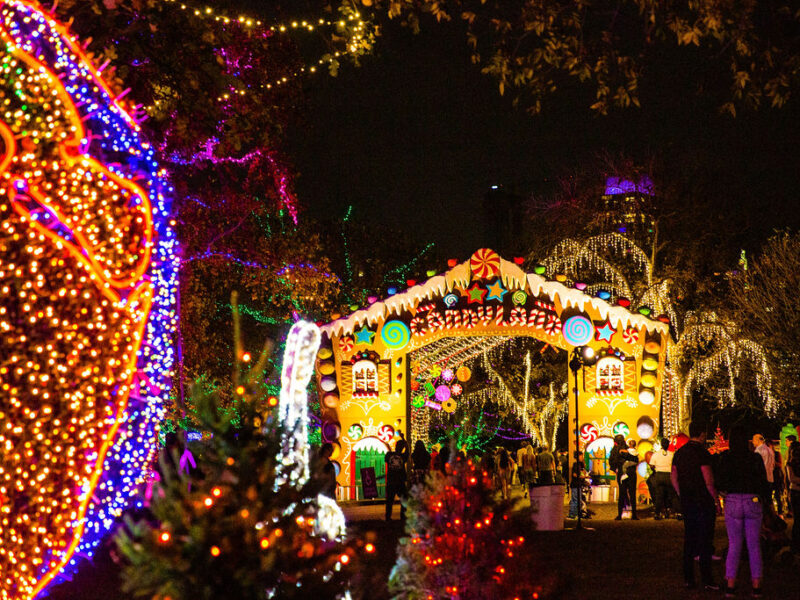 Candyland at Austin Trail of Lights