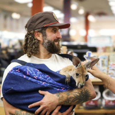 Whole Earth Provision Co. Bring The Outdoors In