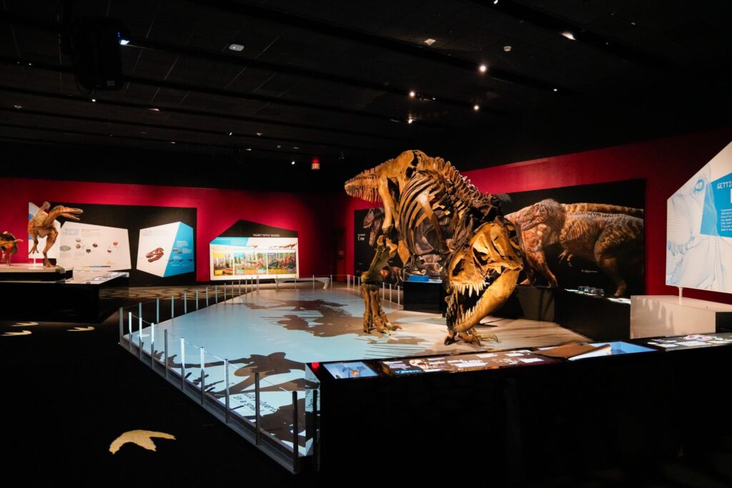 "T. rex: The Ultimate Predator" at The Bullock Texas State History Museum. (Photo courtesy of the Bullock Museum)