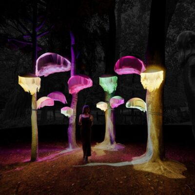 590591466_1406877358114846_7931326125832414383_n