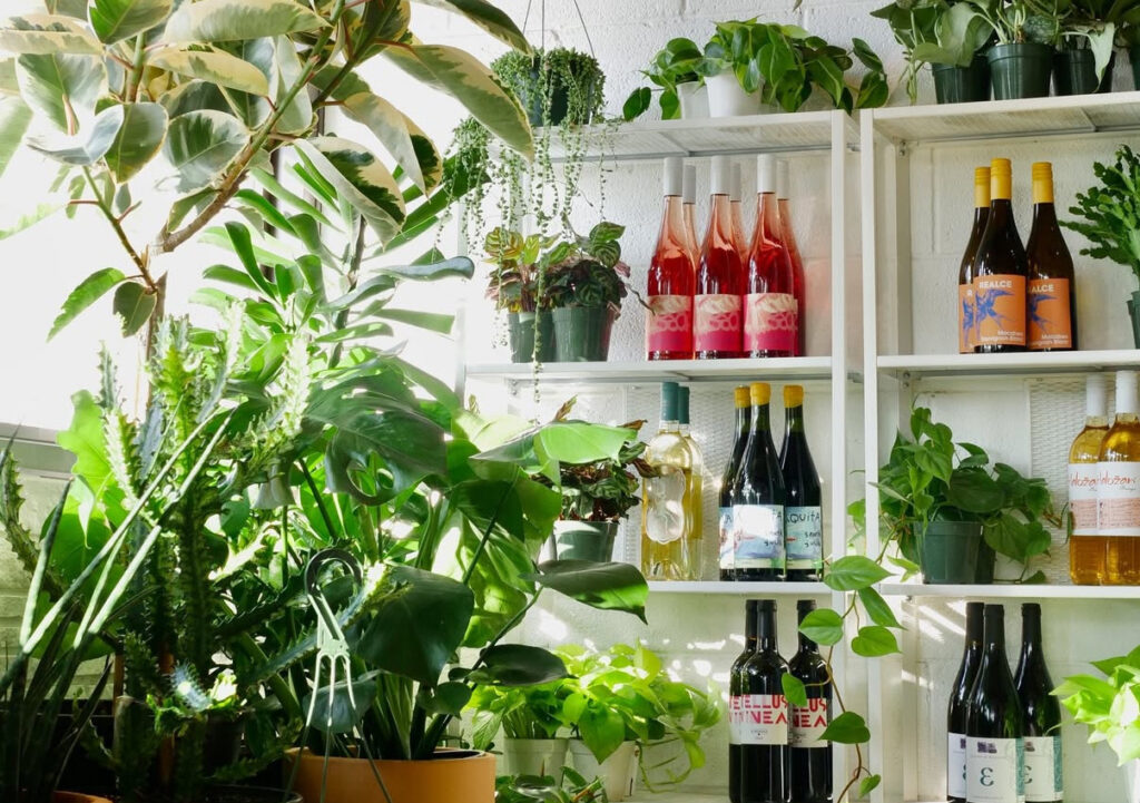 plants and wine