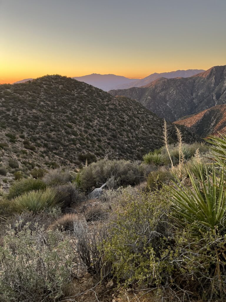 San Jacinto Mountain