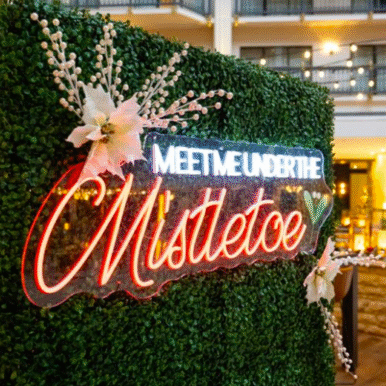 Screen Shot 2025-12-24 at 12.45.34 AM