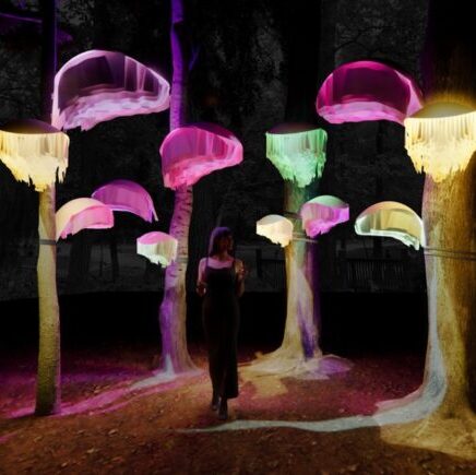 8th Annual Design Shine glows at UMLAUF. See the sculptures in their after-hours Moonlauf events in January.