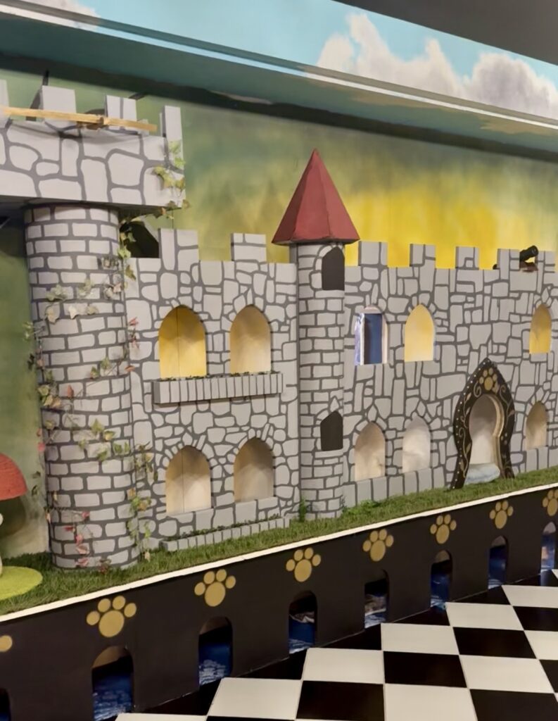 cat castle at Sydney's Cat Lounge