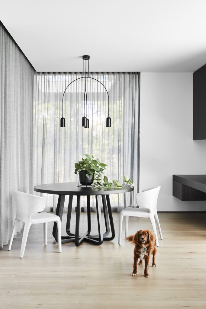 Rolli Shades window treatment.