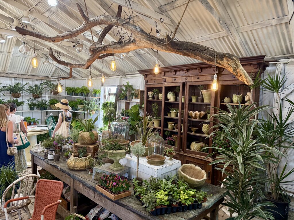 Beautiful plants from The Garden Company in Marburger Farm