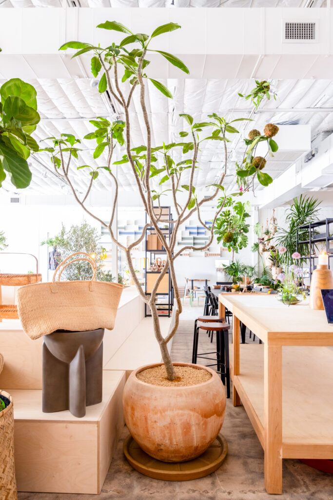 The Barton Springs Design Studio & Showroom