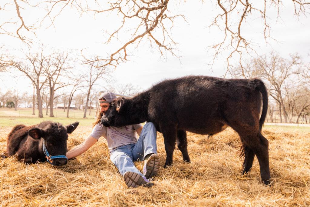 Austin Farm Sanctuary founder Chris Fuller-Wigg with rescue cows