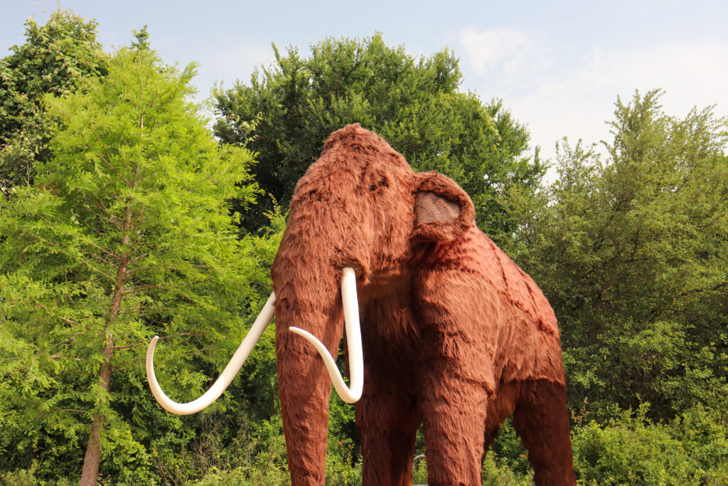 Life-size Ice Age animals are on display throughout the Lady Bird Johnson Wildflower Center as part of its “Ice Age in the Wild” exhibition, which runs through Aug. 15.