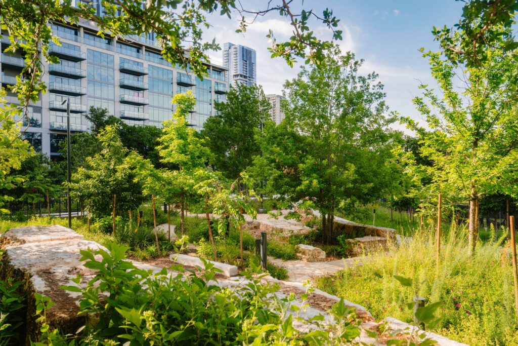 The Confluence, the second phase of the Waterloo Greenway project in Austin.