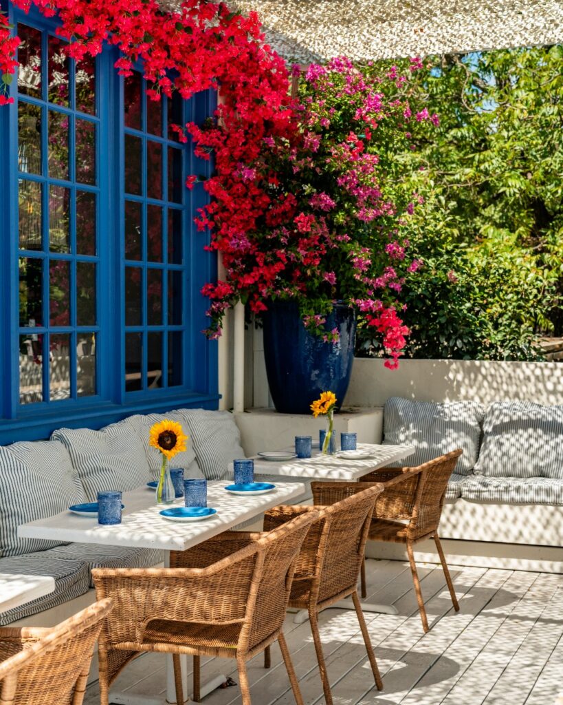 Yamas' outdoor dining area. (Photo courtesy of Yamas) 