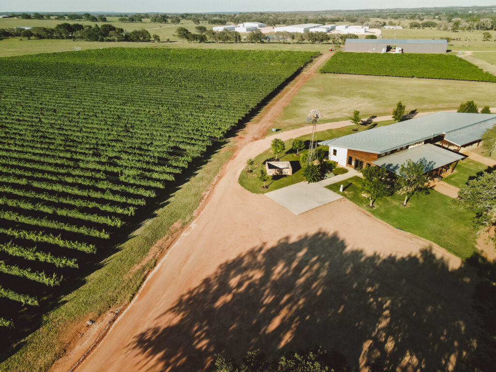 Ab Astris Winery in Stonewall, TX, one of four Texas wines to earn the state’s first gold medals at the Decanter World Wine Awards.